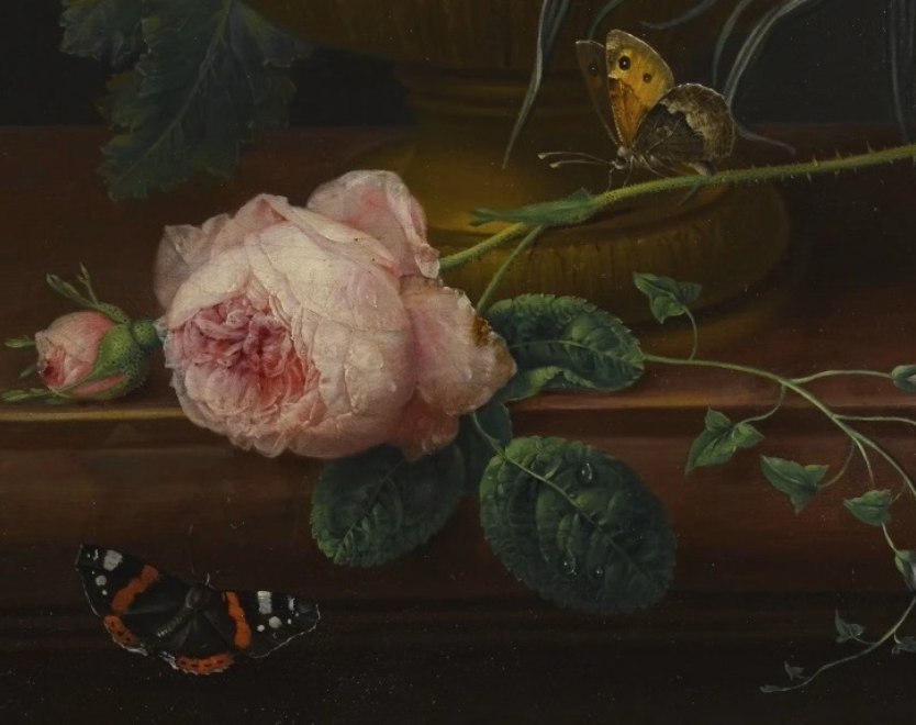 世俱杯改制-奥地利名将展现超凡实力,震撼群雄的简单介绍