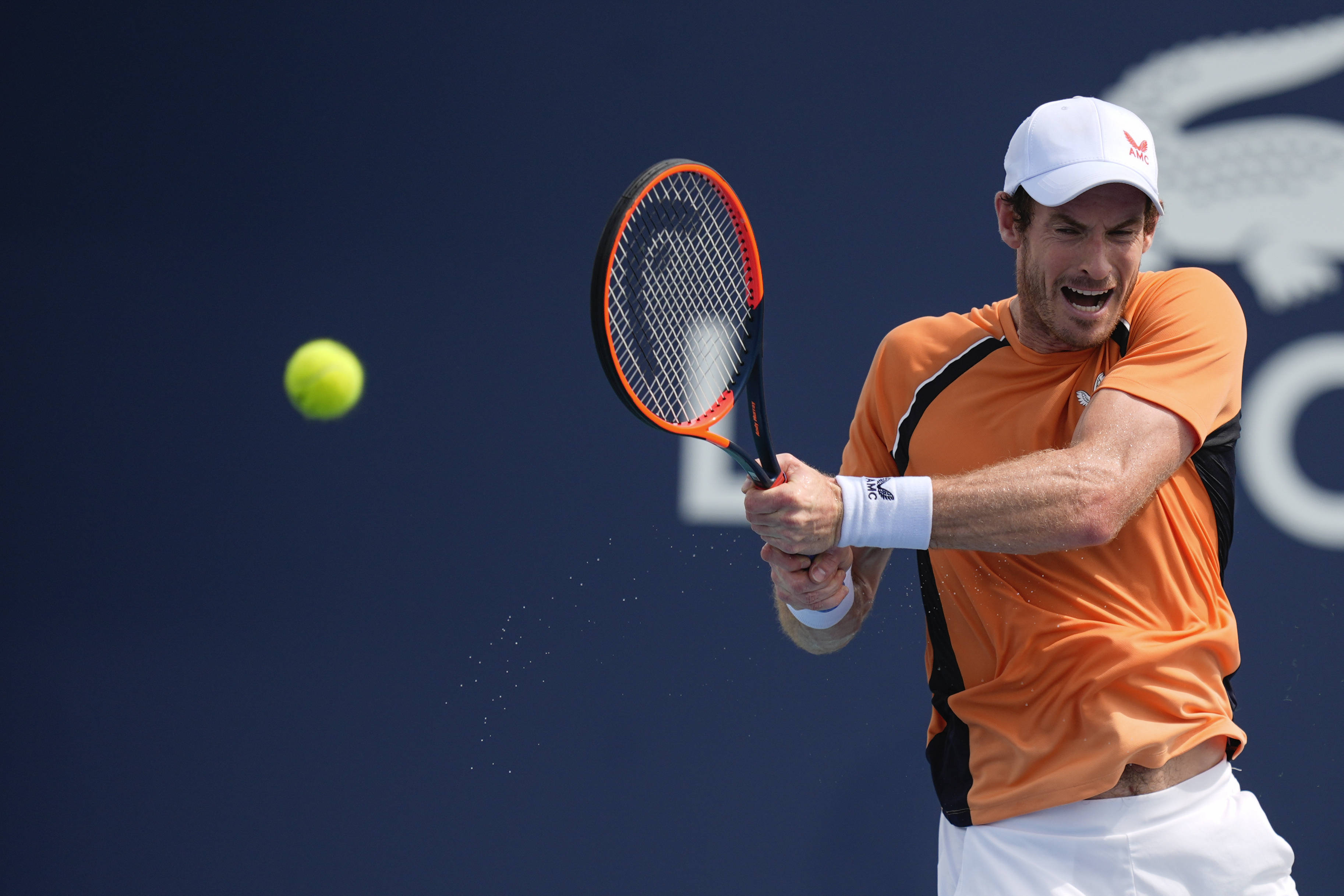 日本网球队力克意大利网球队,穆雷统治全场的简单介绍 日本网球队力克意大利网球队,穆雷统治全场的简单介绍