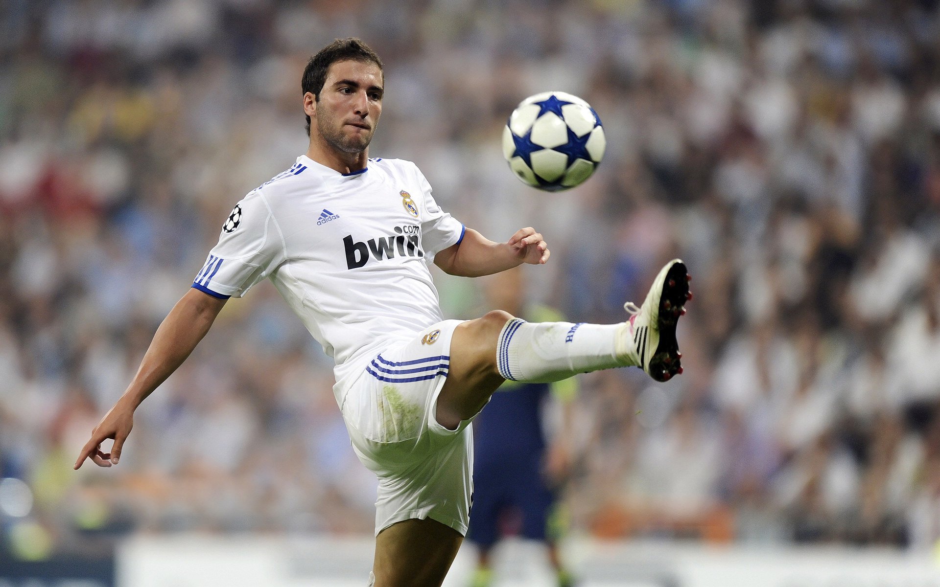 答案在空中飘扬，当阿隆索的纪录质问每一颗铆钉